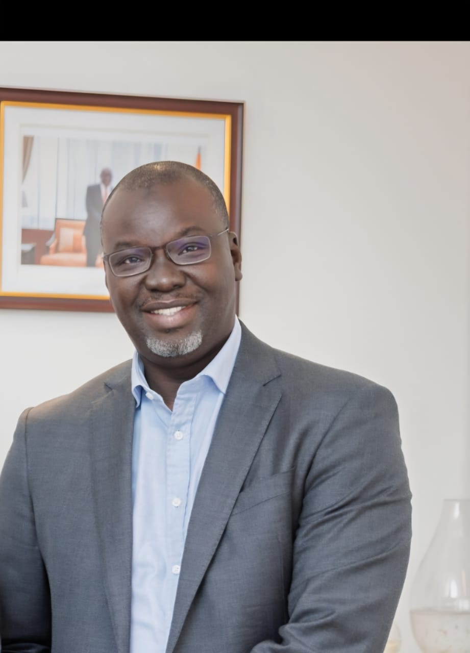Pape Meïssa Diongue, Directeur Général